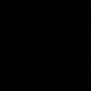 Meet your Posher, Rosie